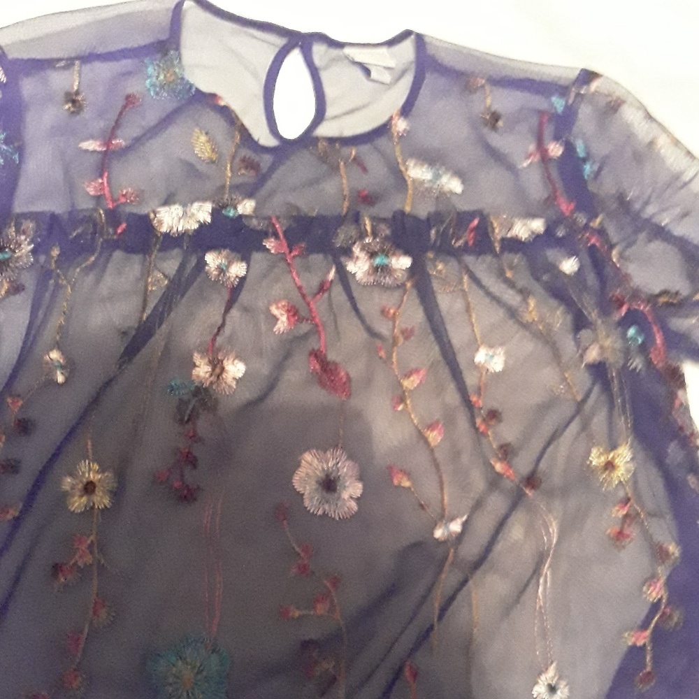 sheer Embroidered blouse